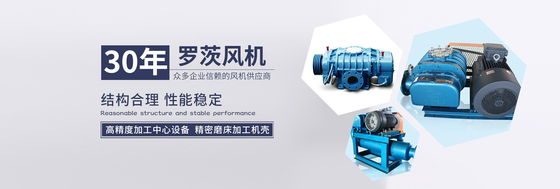 羅茨鼓風(fēng)機