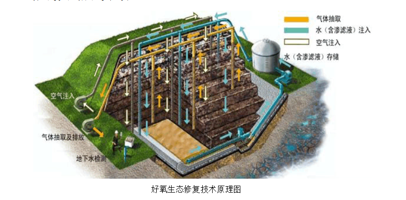 好氧生態(tài)修復技術(shù)原理圖.png