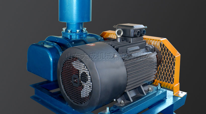 DSR200羅茨風(fēng)機