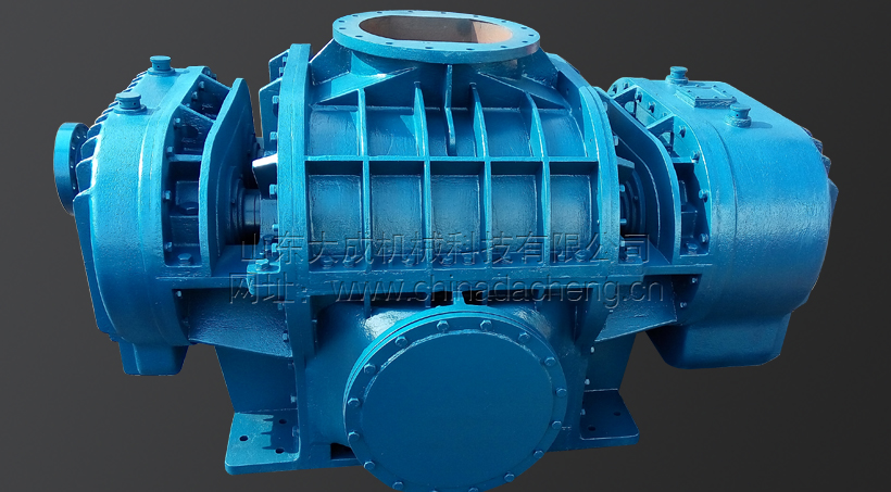<b>DSR-L93WD羅茨鼓風(fēng)機</b>